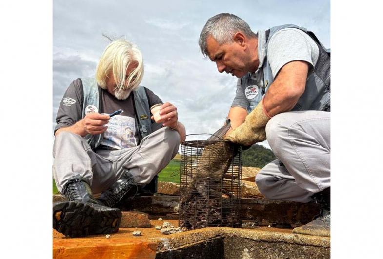 Técnicos da Defesa Agropecuária durante trabalho de campo na região de Avaré