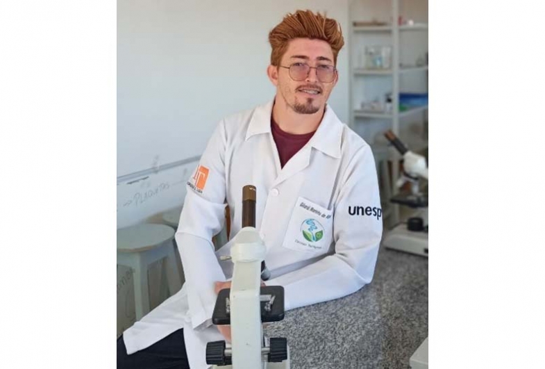 A importância da batata doce no desenvolvimento infantil 