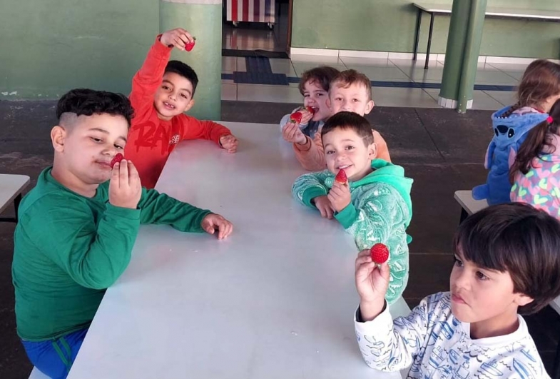 Alimentação equilibrada é parte do  compromisso com o desenvolvimento escolar