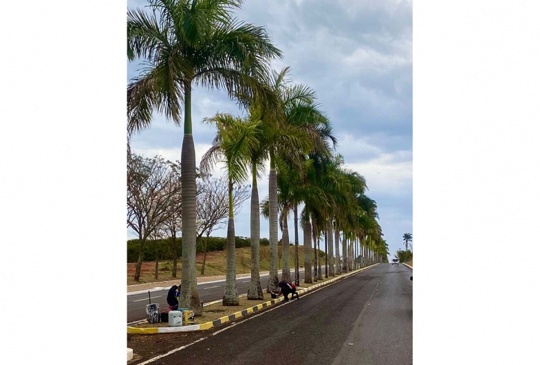 A entrada da cidade recebeu atenção especial