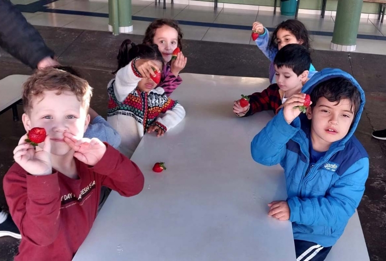 A parceria com pequenos produtores garante merendas ricas e nutritivas