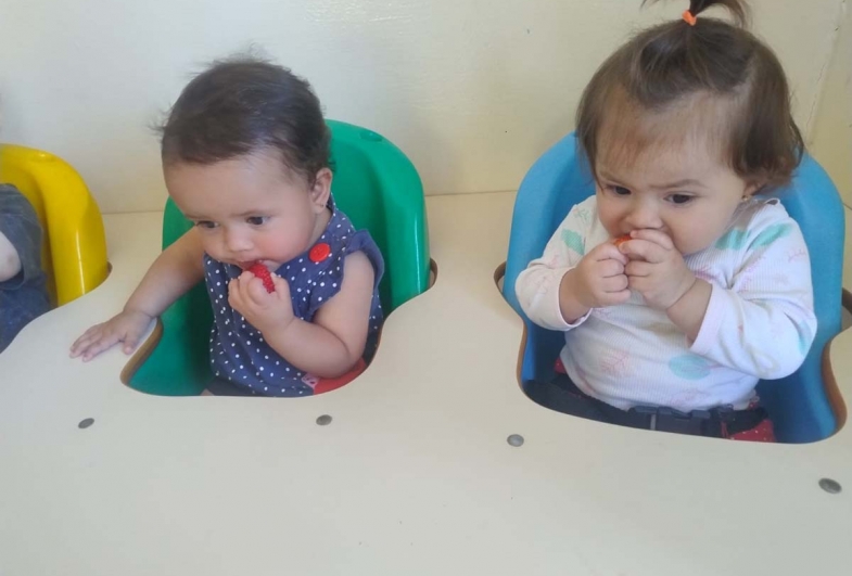 Aprendendo desde cedo que a alimentação  saudável melhora a concentração