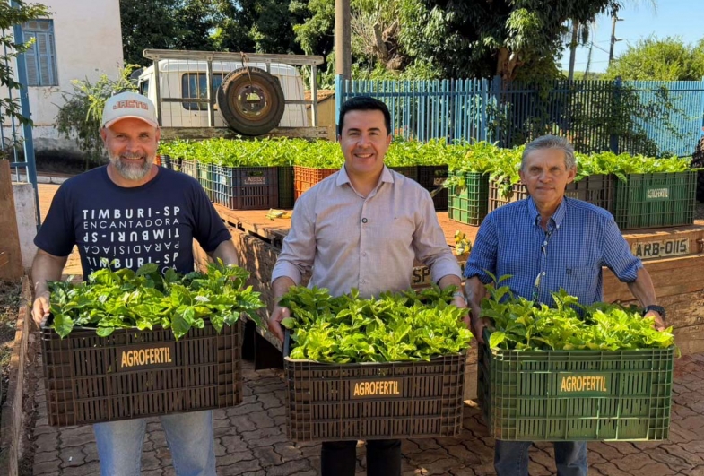 Prefeitura de Timburi entrega mudas de café aos produtores