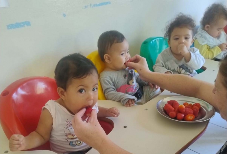 A merenda escolar de Fartura incentiva hábitos alimentares saudáveis desde cedo
