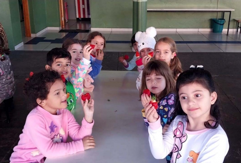 Alunos aproveitam o lanche com morangos fresquinhos, direto da agricultura familiar