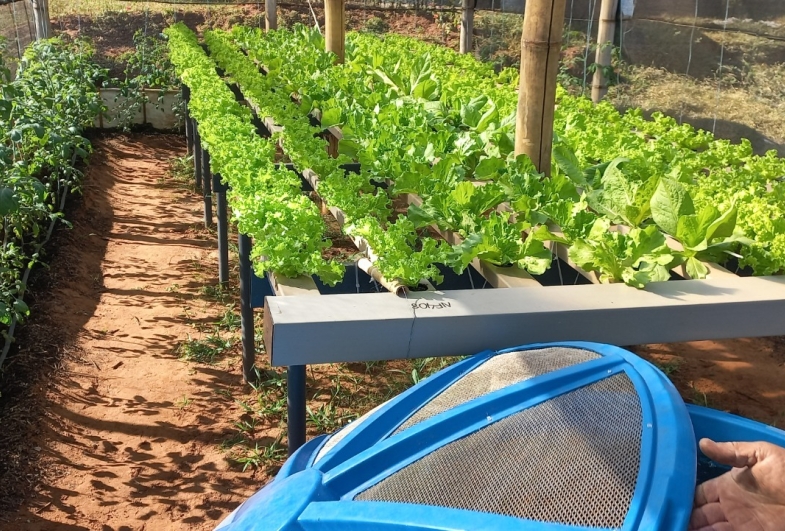 Produtores rurais de Avaré podem participar gratuitamente do Programa ALI Rural