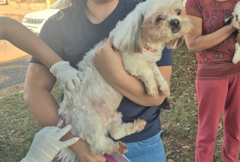 Bairro Bannwart de Avaré tem vacinação contra a raiva na quarta-feira, 25