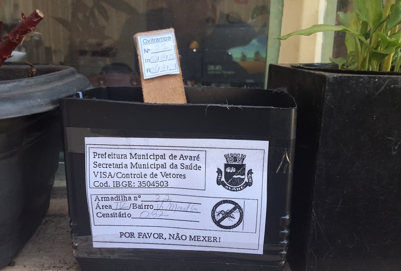 Vigilância Sanitária de Avaré instala armadilhas para captura de ovos do Aedes aegypti