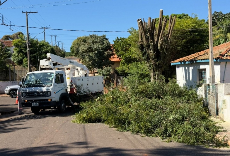 Prefeitura de Timburi realiza trabalho de avaliação e erradicação de árvores com problemas nas vias e espaços públicos