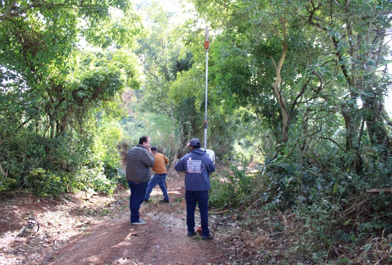 Equipe de Meio Ambiente realiza manutenção de árvores para garantir melhorias nas estradas rurais