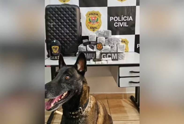 Homem é preso em Itapeva com mais de 20 kg de maconha escondidos em mala