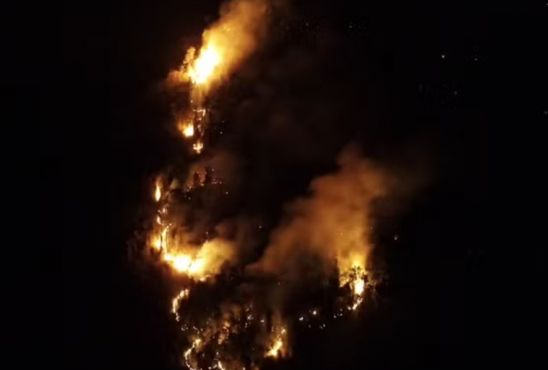Incêndio de grandes proporções atinge área de proteção ambiental da Mata Atlântica em Timburi 