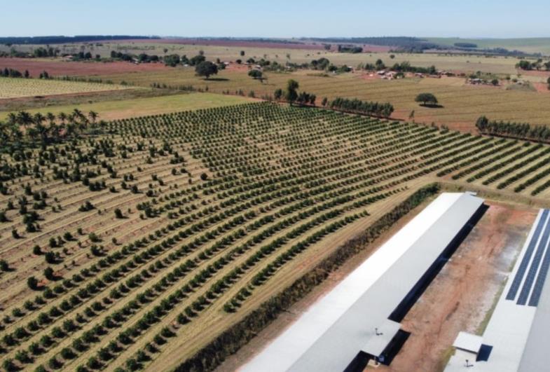 Sicredi registra crescimento de mais de 110% no financiamento para instalação de painéis de energia solar