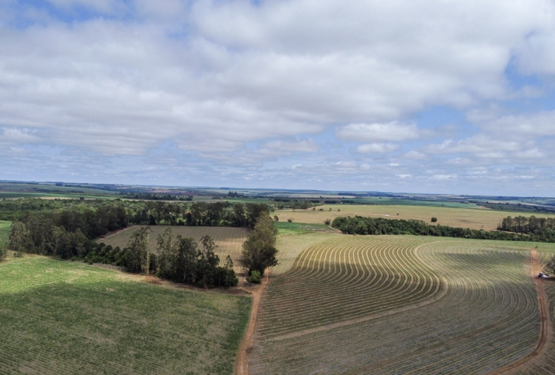 Avaré será o único do Brasil a sediar dois Centros Tecnológicos do agronegócio