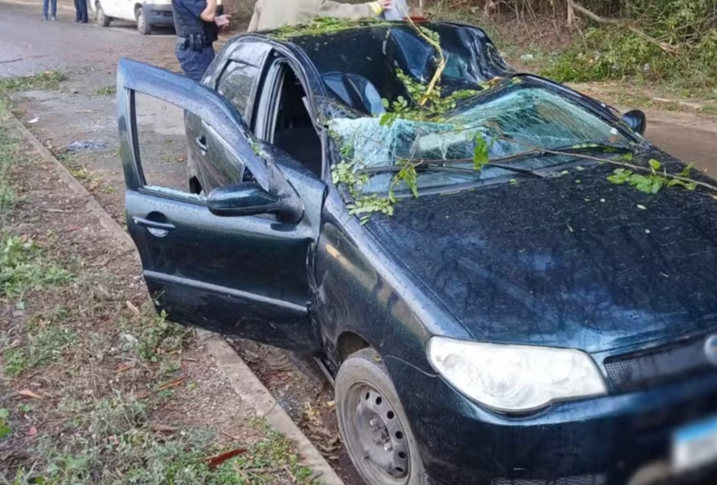 Idoso foi socorrido, mas não resisitu aos ferimentos — Foto: Defesa Civil/Divulgação