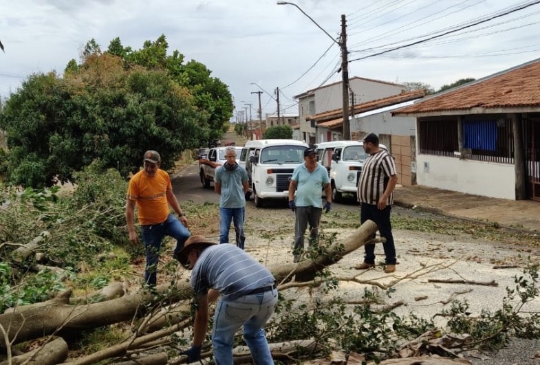 Equipes seguem mobilizadas após temporal que atingiu Avaré