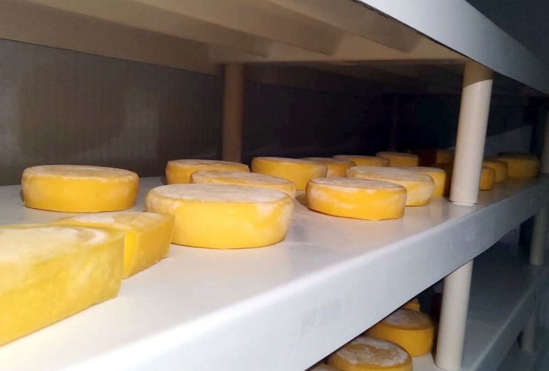 Fazenda está aberta a visitação pública