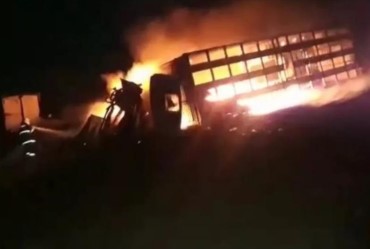 Motorista e bois morrem carbonizados após colisão entre caminhões em Igaraçu do Tietê