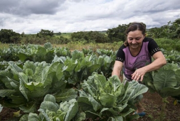 Evento para mulheres empreendedoras do agro estará em Fartura na próxima segunda (14)