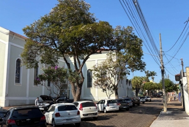 Prefeitura de Fartura realiza poda de árvores em espaços públicos