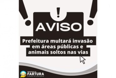 Prefeitura multará invasão em áreas públicas e animais soltos nas vias