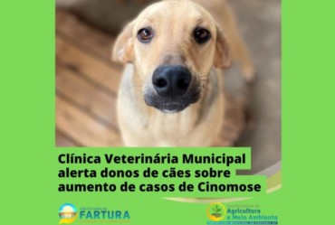 Clínica Veterinária alerta donos de cães sobre casos de Cinomose