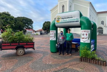 Moradores podem retirar mudas de árvores nesta sexta-feira (03) na Praça da Matriz