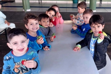 Merenda escolar com frutas reforça saúde e educação dos alunos