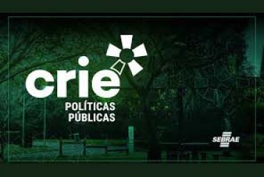 Iaras participa de capacitação do programa Crie Políticas Públicas do Sebrae-SP 
