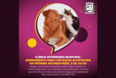 Agendamento para castração acontecerá na próxima segunda-feira, 5 de julho
