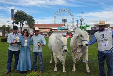 Avaré busca inovação e fortalece o agro com participação em uma das maiores feiras do país