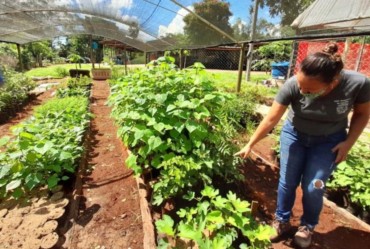 Coordenadoria de Agricultura e Meio Ambiente fornece mudas para recuperação de nascentes