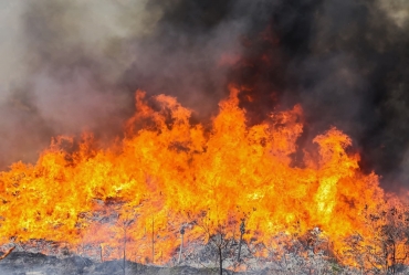 Defesa Civil alerta sobre incêndio de grandes proporções em Avaré