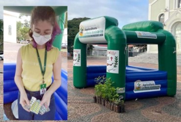 Prefeitura distribui mudas nesta quinta-feira (09) na Praça da Matriz