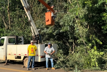 Taguaí realiza poda de árvores para melhorar segurança e mobilidade  na Rodovia Antônio Soldera