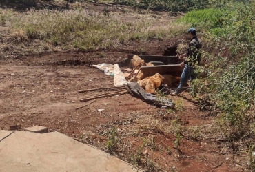 Arrastão contra a dengue mobiliza Sarutaiá e reforça combate ao mosquito