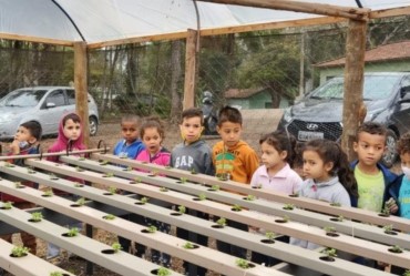 Conscientização: Fartura comemora Dia da Árvore com atividades nas escolas municipais
