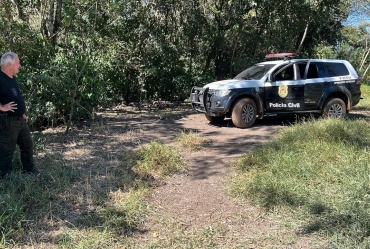 Polícia Civil de Paranapanema localiza em fazenda ossadas de gado e lataria de caminhonete furtada 