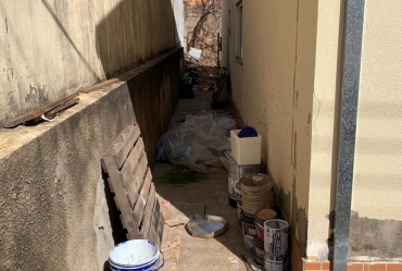 Cachorro em situação de abandono é resgatado e tutor preso pela Polícia Civil em Avaré 