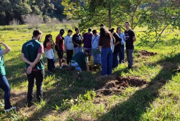 Alunos de Avaré participam do plantio de mudas nativas no Horto Florestal