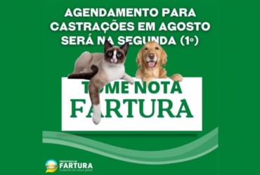 Tome nota: Agendamento para castrações em agosto será na segunda (1º)