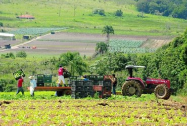 DORIA LANÇA PROGRAMA AGROSP+SEGURO E ANUNCIA R$ 215 MILHÕES PARA CRÉDITO E SEGURO RURAL EM APOIO A PRODUTORES