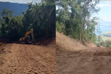 Polícia multa fazendeiro em quase R$ 40 mil por desmatamento de floresta nativa em Fartura