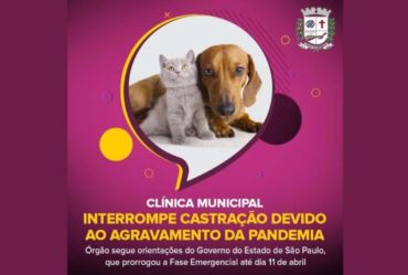 Clínica Municipal interrompe castração devido ao agravamento da pandemia