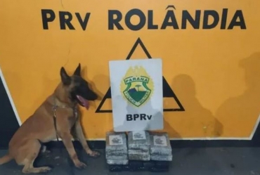 Casal de Avaré é preso com mais de 14 kg de maconha em ônibus