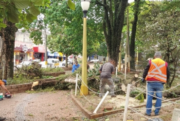 Temporal que atingiu o município de Avaré na tarde de segunda-feira, 22, ocasionou diversos danos