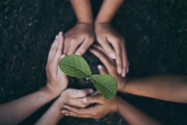 Holambra Cooperativa lança primeiro Relatório de Sustentabilidade de sua história