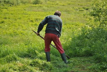 Prefeitura de Taguaí alerta sobre a obrigatoriedade da limpeza de terrenos