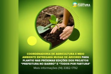 Coordenadoria de Agricultura e Meio Ambiente entregará mudas de árvores para plantio nas próximas edições dos projetos “Prefeitura no Bairro” e “Todos por Fartura”