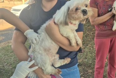 Bairro Bannwart tem vacinação contra a raiva no próximo dia 25